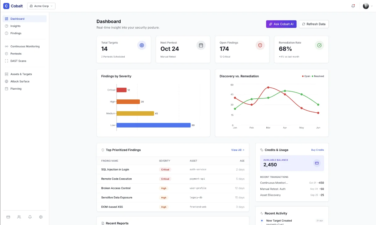 Google AI Studio output: a Cobalt dashboard with severity and remediation charts, a prioritized findings table and a credits panel